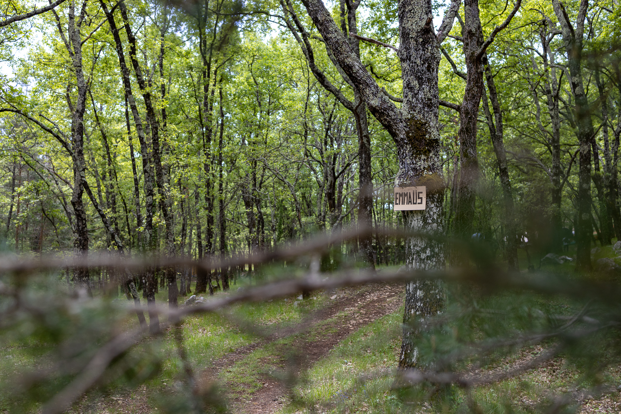 Emmaüs Var nature Callian forêt