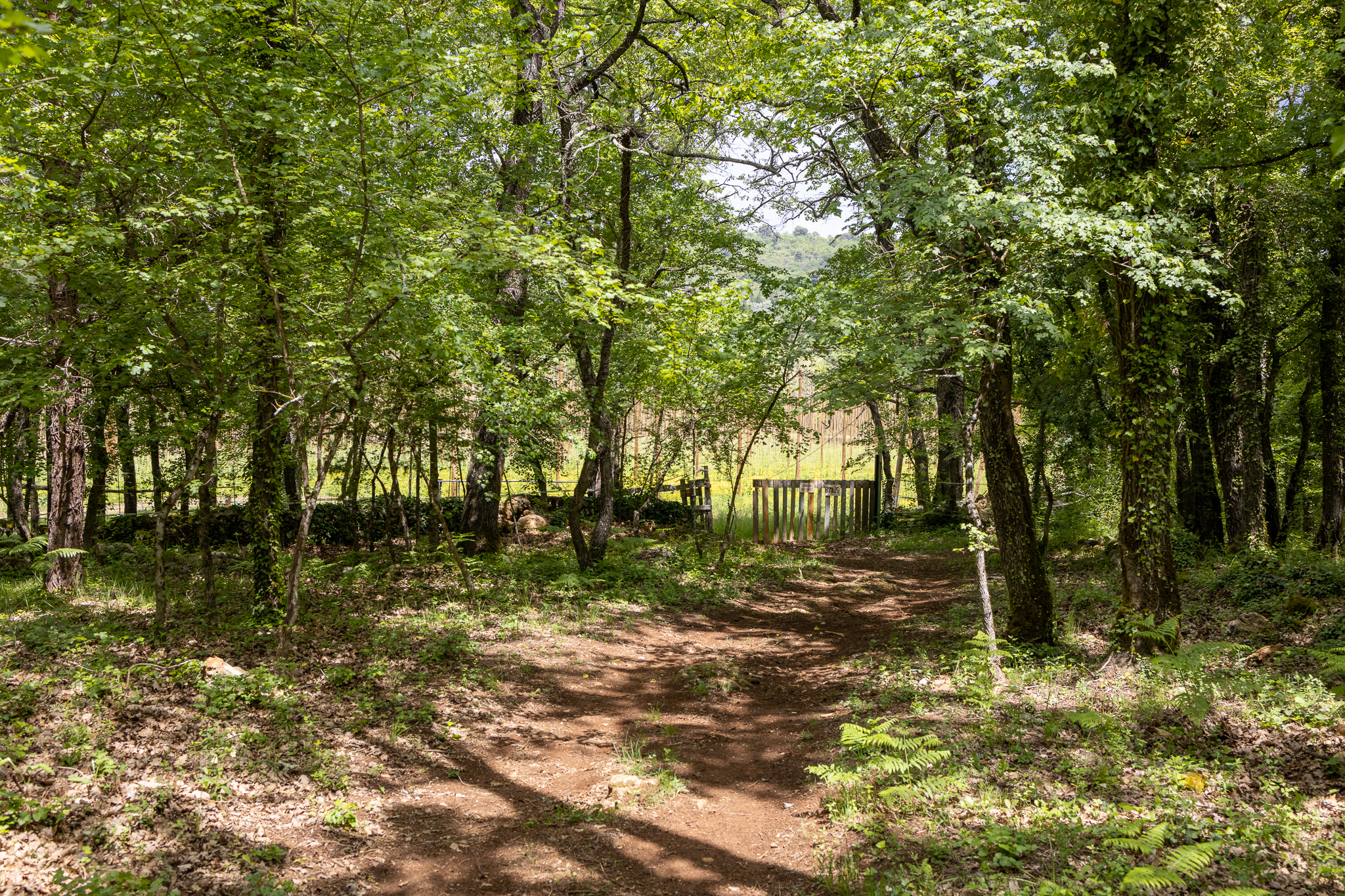 Emmaüs Var nature Callian chemin